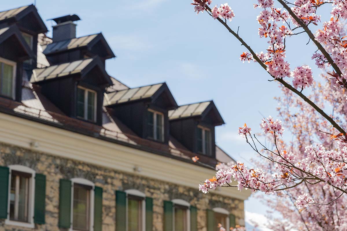 Frühsommer Genusstage