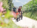 Biken Sommer©AndiFrank